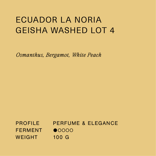 Ecuador La Noria Geisha Washed Lot 4
